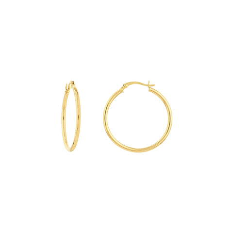 2mm x 30mm Polished Hoop Earrings