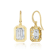 Diamond French Wire Earring - 4.1ct