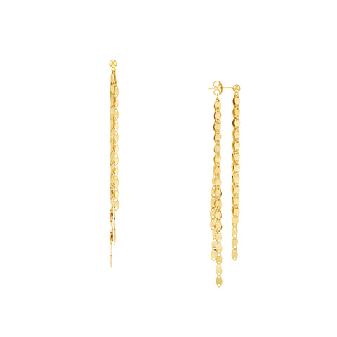 Front and Back Valentino Chain Earrings